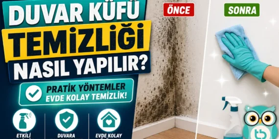 Duvar Küfü Temizliği Nasıl Yapılır? Kesin ve Doğal Çözümler