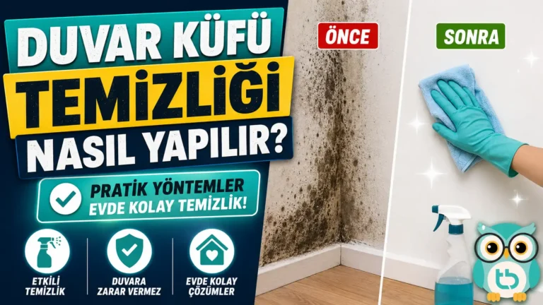 Duvar Küfü Temizliği Nasıl Yapılır? Kesin ve Doğal Çözümler