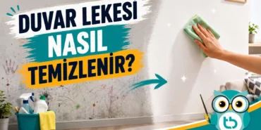 duvar-lekesi (1)
