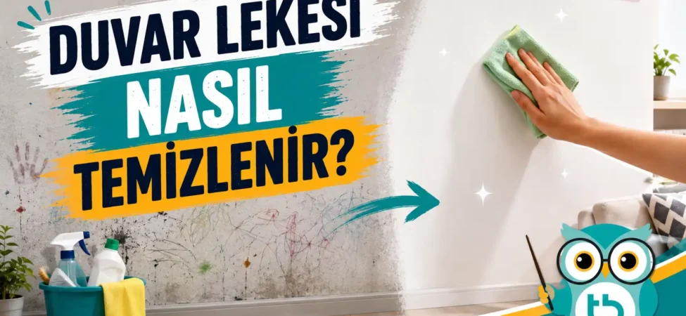 duvar-lekesi (1)