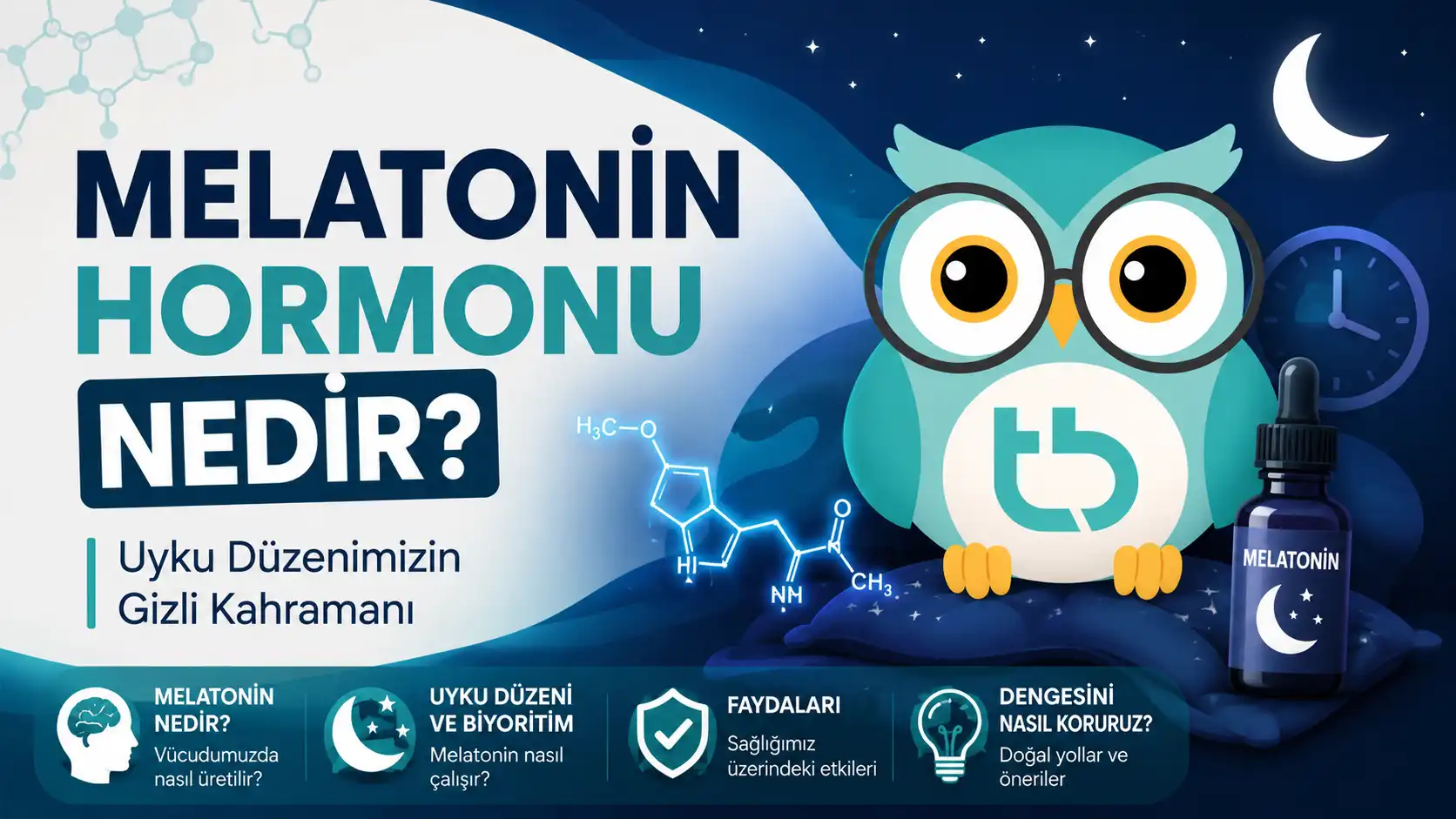 melatonin-hormonu (3)