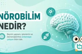 noro-bilim (1)
