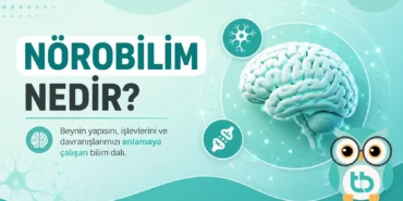 noro-bilim (1)