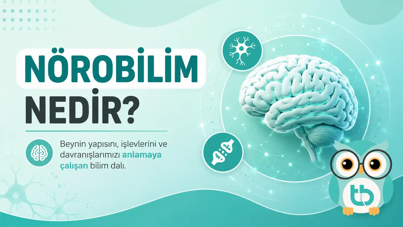 noro-bilim (1)