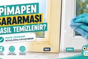 pimapen-sararmasi