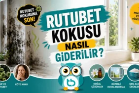 rutubet-kokusu-giderme (1)