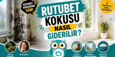 rutubet-kokusu-giderme (1)