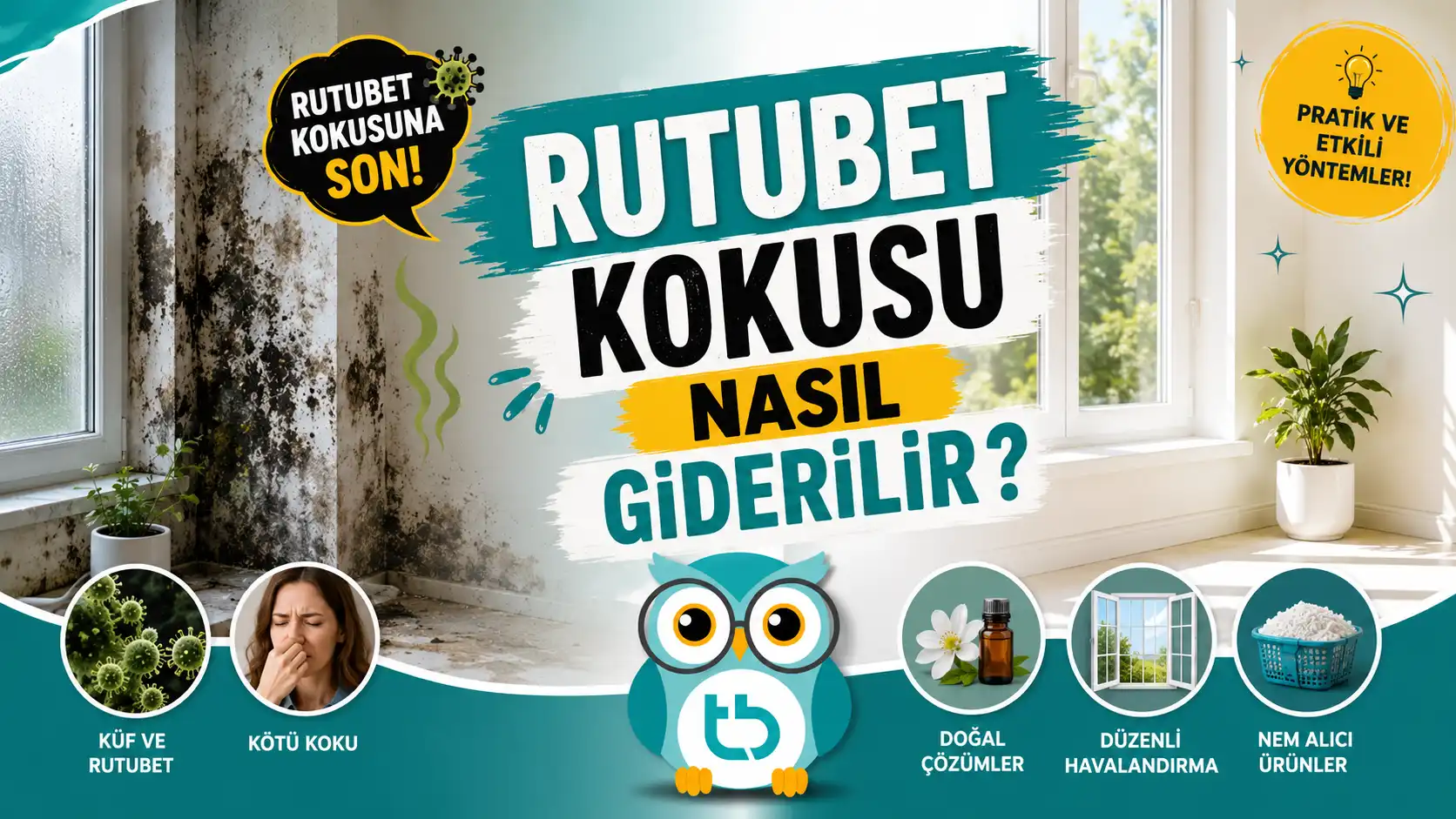 rutubet-kokusu-giderme (1)