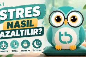stres (1)